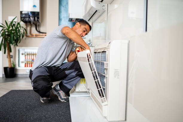 Best Air Duct Mold Removal  in Algonquin, IL