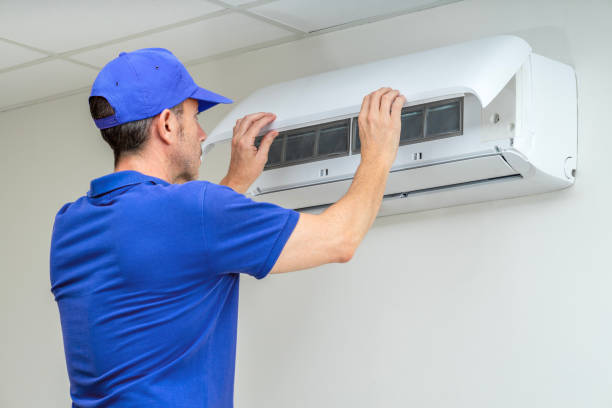Best Air Vent Cleaning Services  in Algonquin, IL