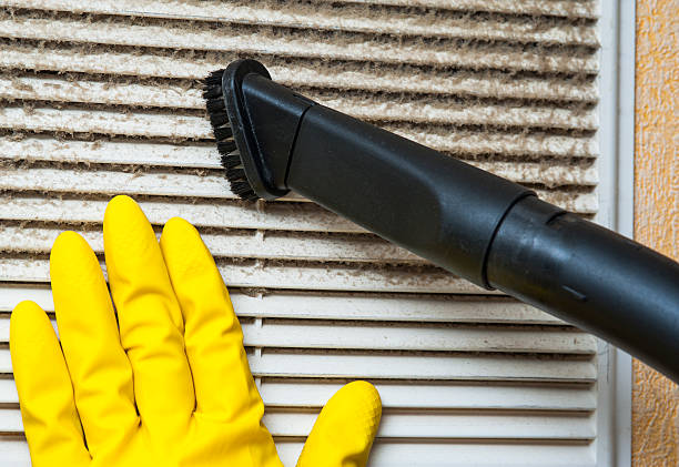 Best Home Air Vent Cleaning  in Algonquin, IL